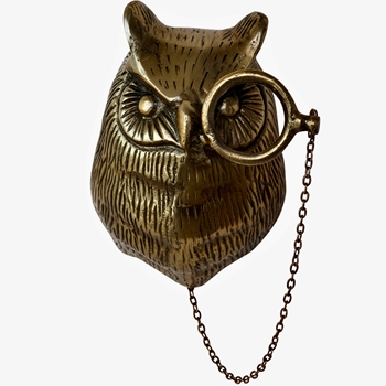 6W/8H Wall Mount Owl With Monocle Brass Fin