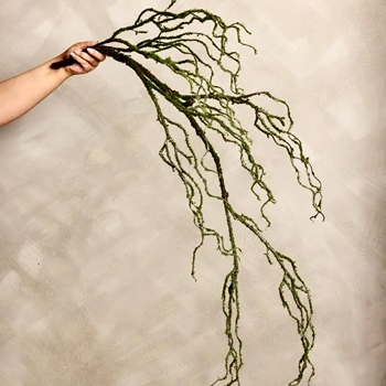 Moss Cascade Branch - Wired for styling 48in