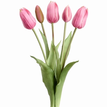 Tulip - Bundle X5 Berry Pink 16in - FBQ755-BB Real Touch
