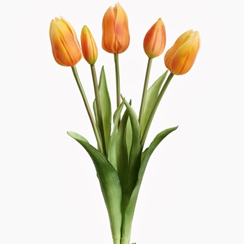 Tulip - Bundle X5 Tangerine Orange  16in - FBQ755-FL Real Touch