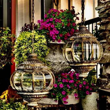 Lantern - Finial Gold 10in