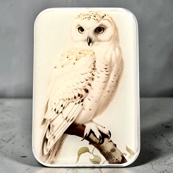 Snowy Owl  Decoupaged Tin - 3.5x2.3x.5in Slide Open