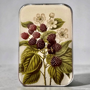 Wild Blackberry Decoupaged Tin - 3.5x2.3x.5in Slide Open