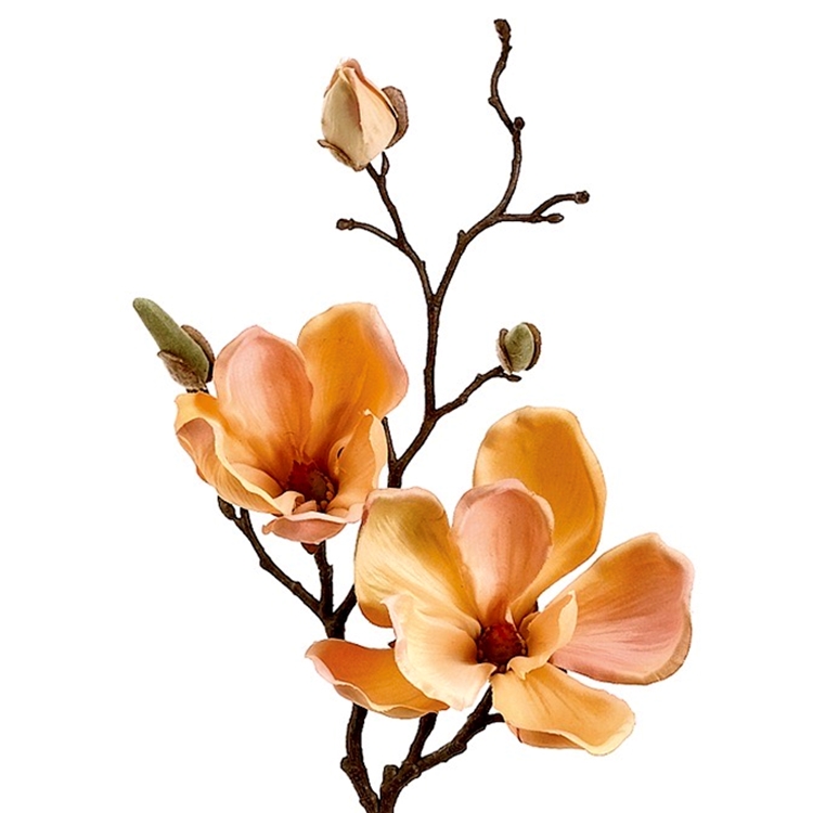 Chintz & Company - Decorative Furnishings - Magnolia - Peach