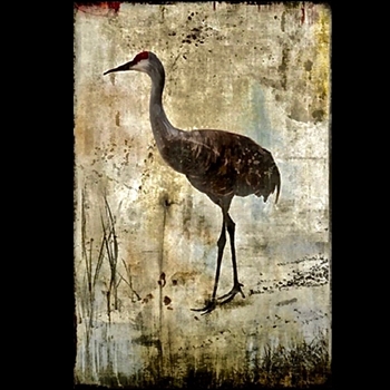 Wonderland Crane (47in x 71in)