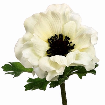 Anemone - Cream/Black 15in - GTA012-CR