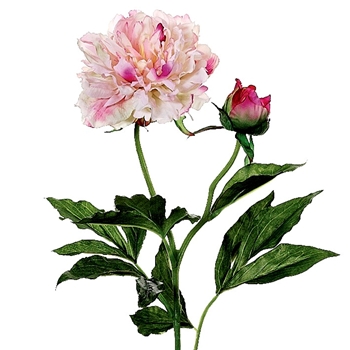 Peony - Ragged Pink 28in - FSP355-PK/TT