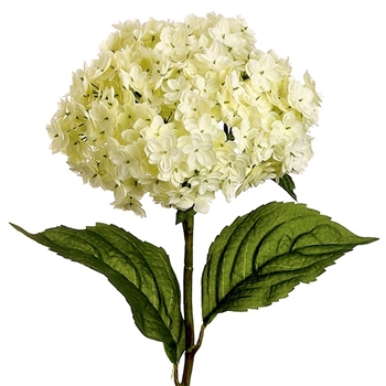 Hydrangea 25in