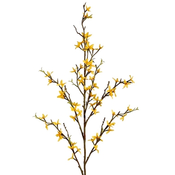 Forsythia Blossom 36in