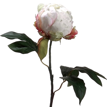 Peony - Classic Bud White/Cream/Pink 18in - FSP701-CR