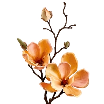 Magnolia - Peach 19in - FSM335-YE/GO
