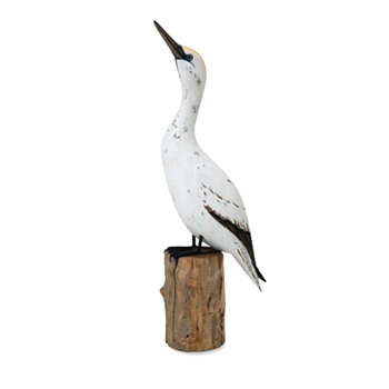 Gannet Up 25in