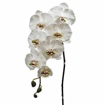 Orchid - Phalaenopsis White  45in Cascade - JTO810-CR/GR
