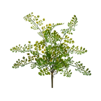 Lace Fern 15in