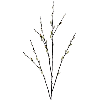 Pussy Willow 7Stem Branch 48in - FSW845-GR