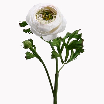 Ranunculus - White 13in - HSR600-CR/BU