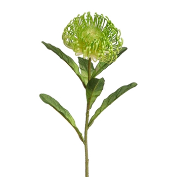 Protea - Blossom Needle Lime Green 26in - FSP752-GR