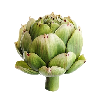 Artichoke - Natural Green 3in Medium 