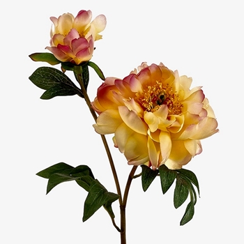 Peony - Vintage Yellow 22in - HSP619-YE/LT