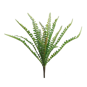 Fern - Sword Plant Green 12in - PBF815-GR