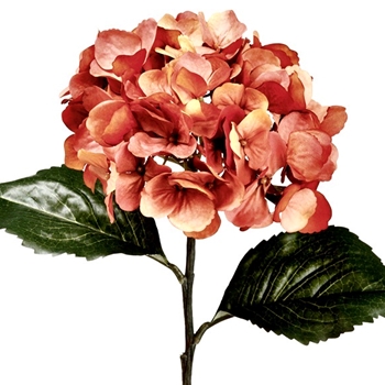 77. Coral Hydrangea 26in