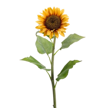 Sunflower - Yellow Orange 31in - FSS283-YE