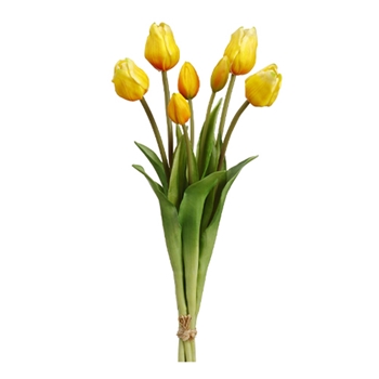 Tulip - Bundle Yellow Stems 18in - FST129-YE