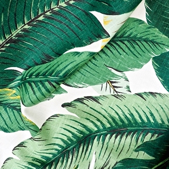 53. Leaf Print Swaying Palms Aloe