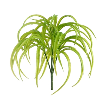 Grass - Rain Garden Plant Lime Weeping 10in - PBT574-GR