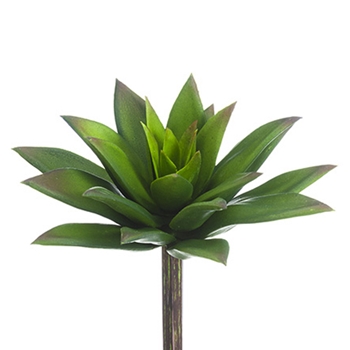 Pointy Soft 6in