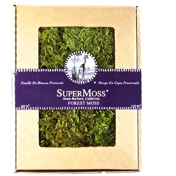 Moss Forest BOX 8OZ