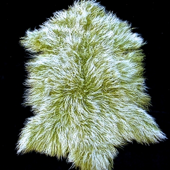 Tibet Mongolian Fur Kiwi Pelt 34W/22D