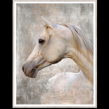 40W/51H Framed Print White Arabian Horse