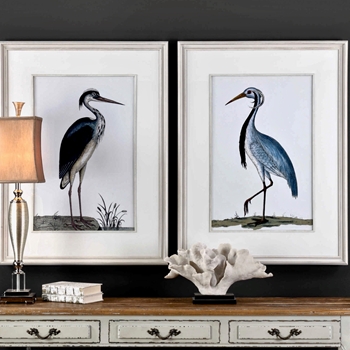 33W/43H Framed Print Shore Birds 2 AST Glass & White Matt