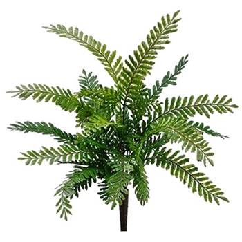 Fern - Fish Bone Plant 18IN Green - PBF151-GR