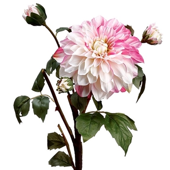 Dahlia - Pink/White 24IN - FSD293-PK/CR