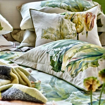 Designers Guild Spring Tulip Buttermilk Sham