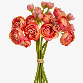 Ranunculus - Bouquet Mini 10in Coral - FSR125-CO/PK