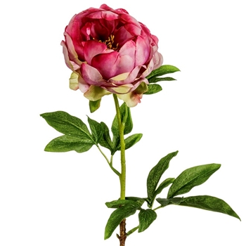 Peony - Fuchsia Cerise 22in - HSP771-CE/TT