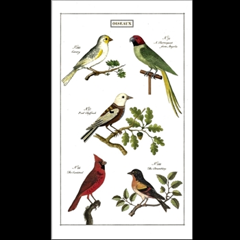 Tea Towel - Birds 19x32 100% Cotton - Italy