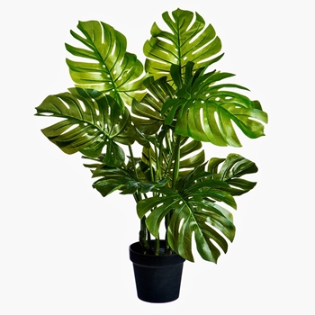 Monstera Plant - 26in 11 Leaves - LPM026-GR