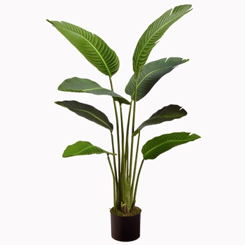 Palm - Paradise Tree 45IN 8 Leaf - LPB045-GR