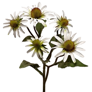 Daisy - Rudbeckia Cream 20in - FSR037-WH