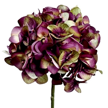 Hydrangea - Aubergine 18IN - FSH900-EP