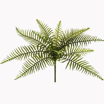 Fern - Sword Plant 16in - PBF141-GR