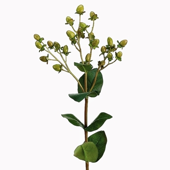 Berry - Hypericum Pick Kiwi 24in - JTH200-GR