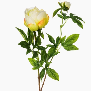 Peony - Classic Budding 26in Light Yellow - FSP102-YE/LT