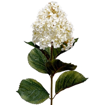 Hydrangea - Peegee Ivory 32in - FSH033-CR