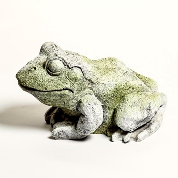 Statuary - Frog 17W/13H/10H White Moss 