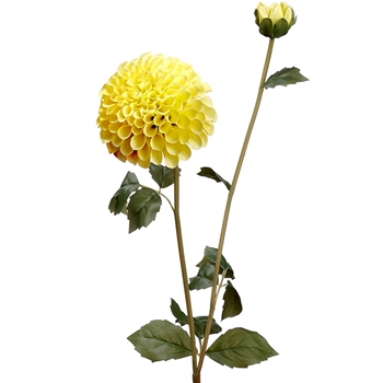 Dahlia - Pom Yellow 31in - FSD291-YE/RE